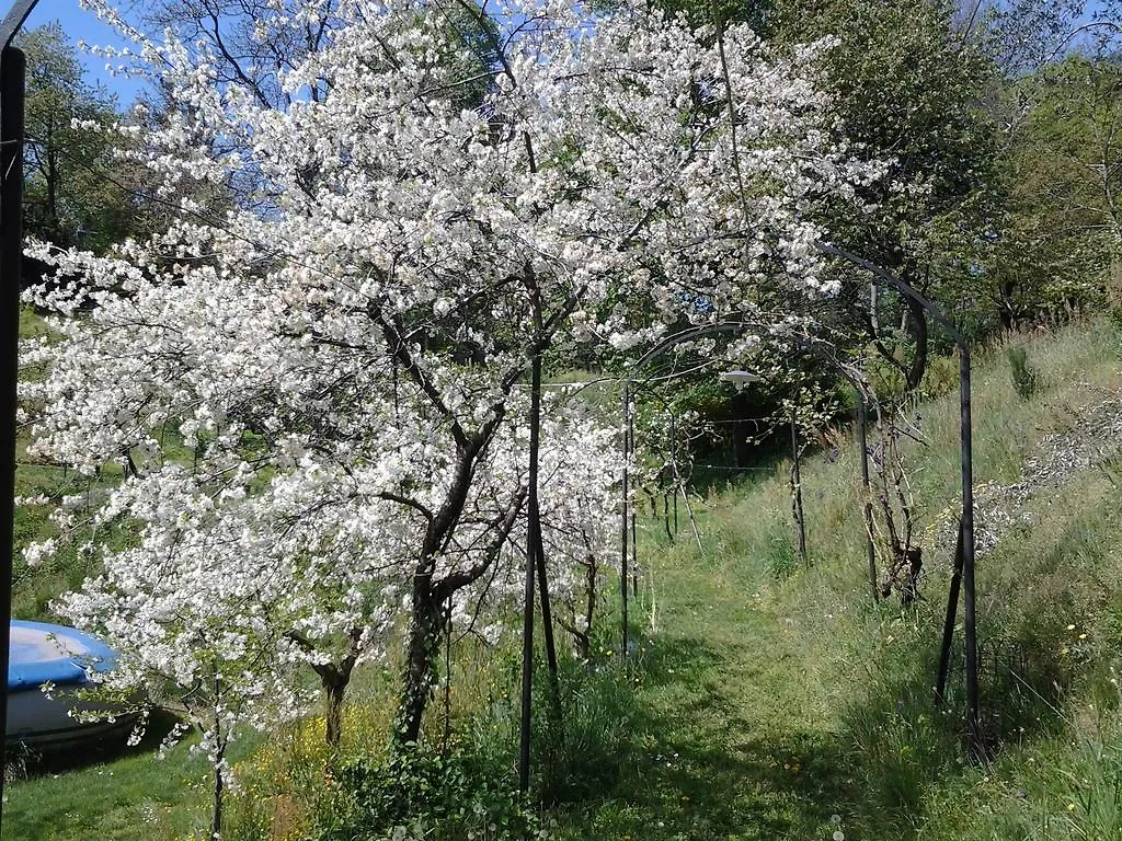 B&B Villa Adelaide Como Italy